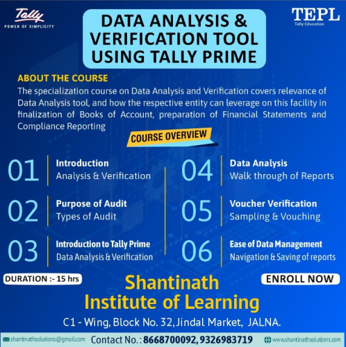 Data Analysis & Verification Tool Using Tally Prime